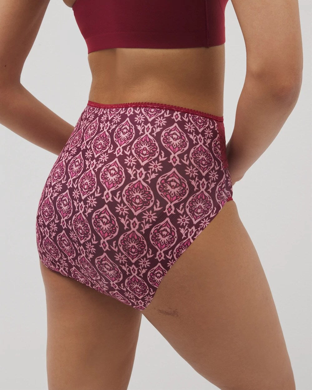 Vanishing Edge Microfiber Modern Brief Panty with Lace