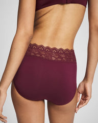 Brief Panty with Enchanting Lace