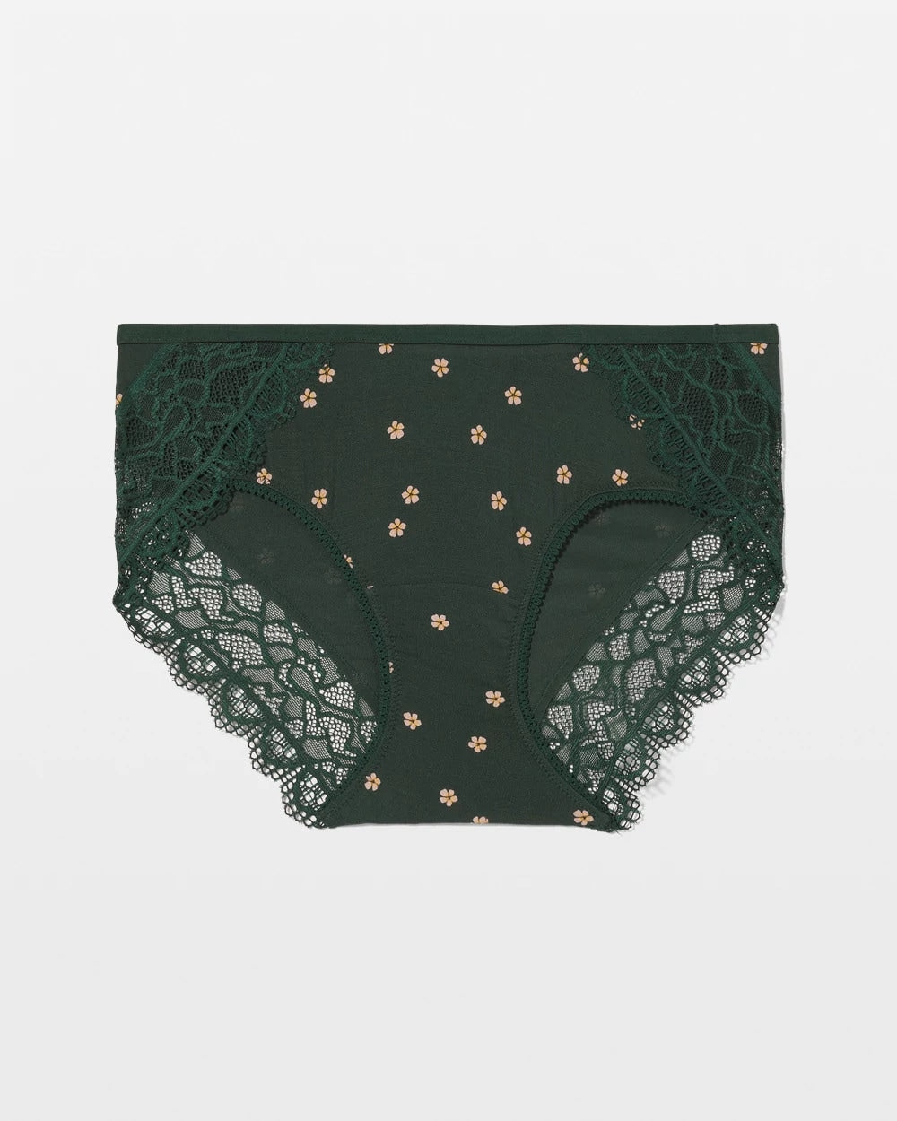 Hipster Panty with Enchanting Lace