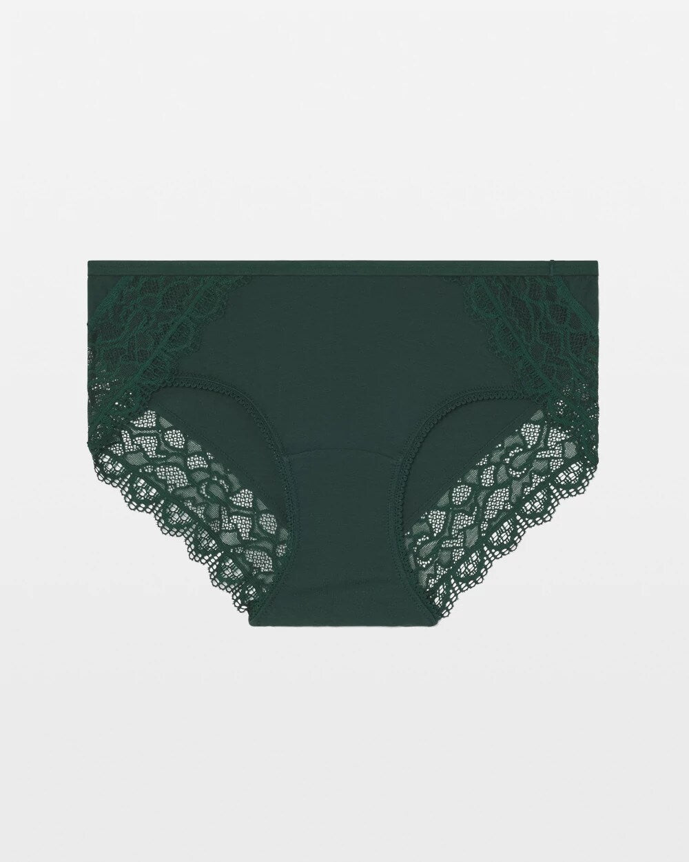 Hipster Panty with Enchanting Lace