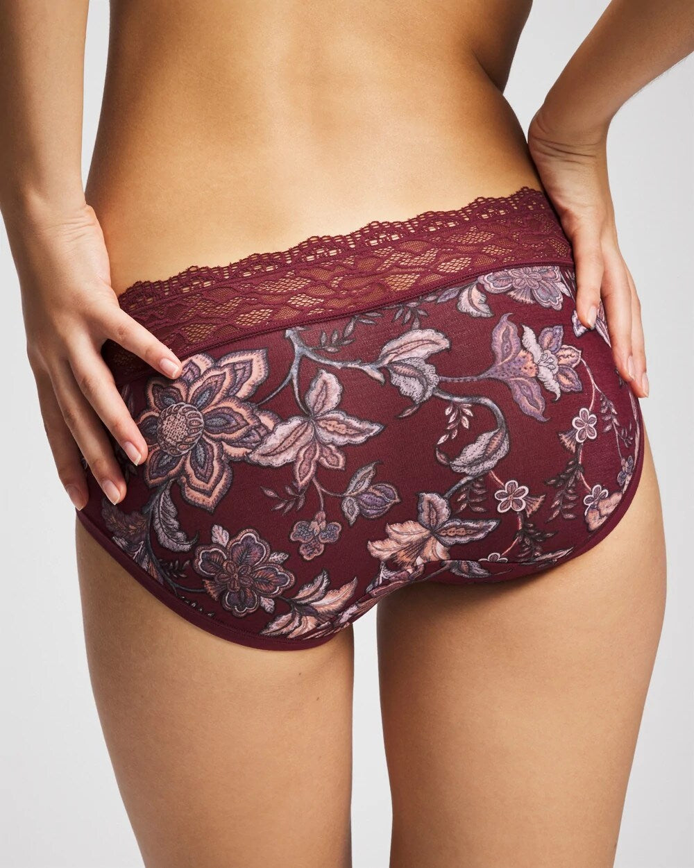 Hipster Panty with Enchanting Lace
