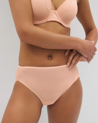 Mesh Back High-Leg Panty