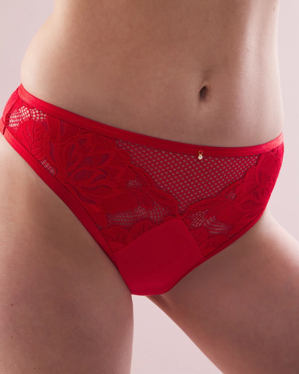 French-Cut Brief Panty with Mesh and Lace