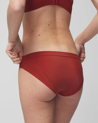 Mesh Bikini Panty