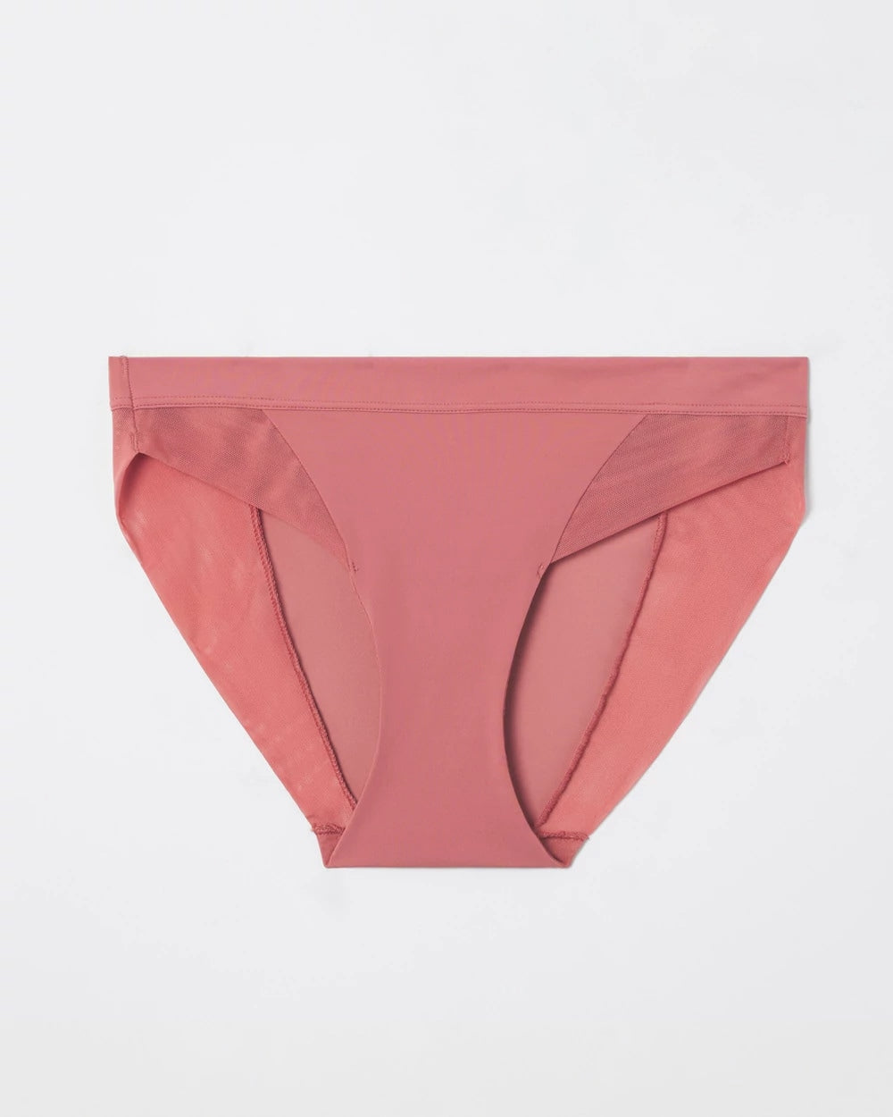 Mesh Bikini Panty