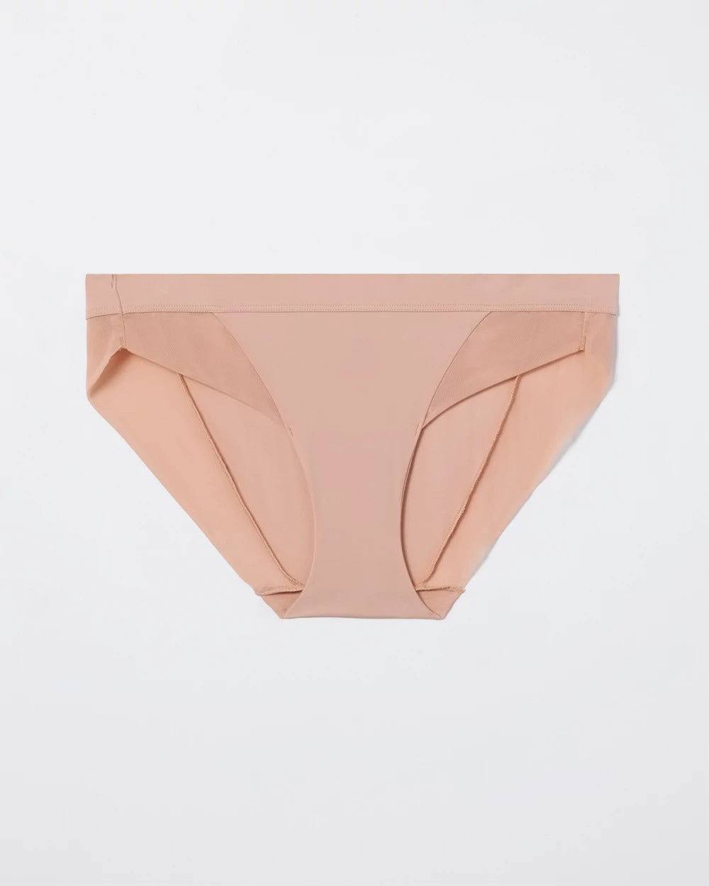 Mesh Bikini Panty